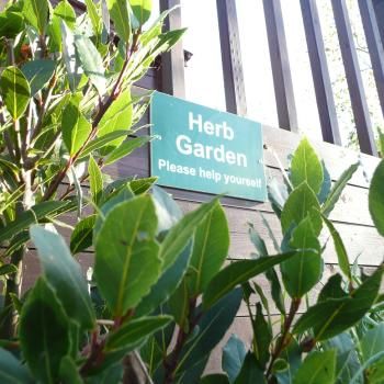 Herb Garden