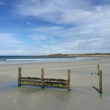 Vazon